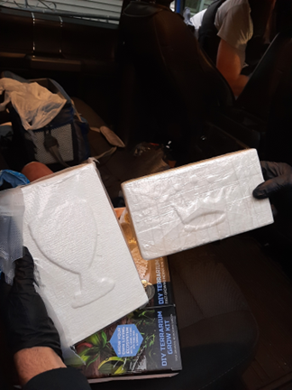 Cocaine recovered by the investigation