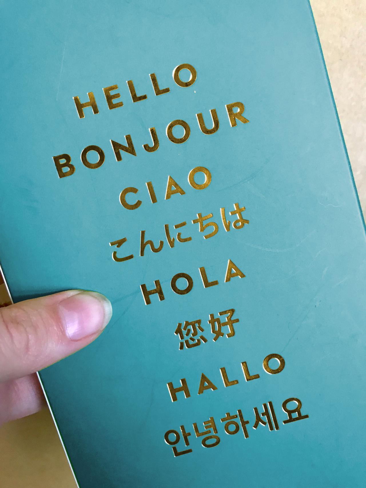 Person holding a book about the size of a passport with the word Hello written in 8 different languages 