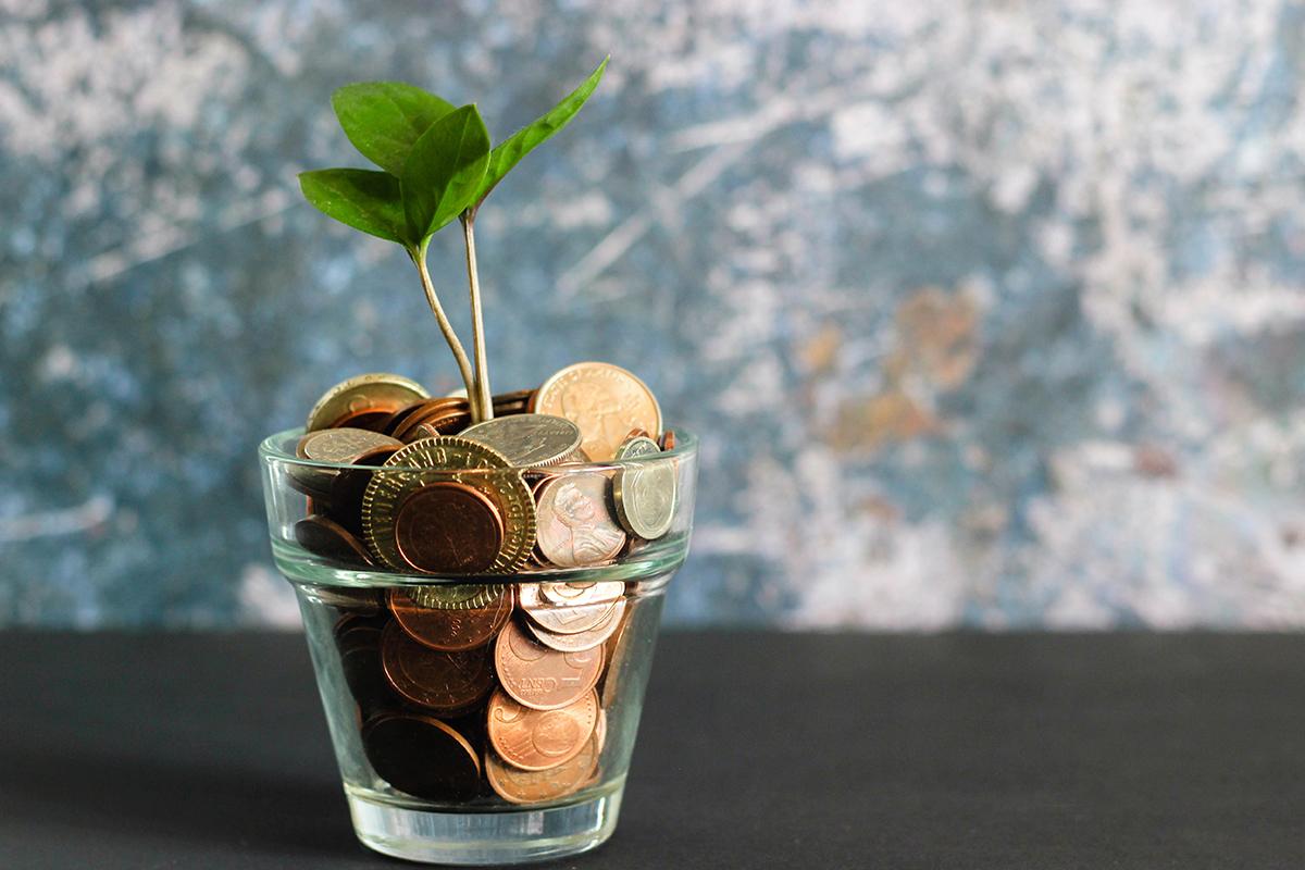 Leaves growing in glass filled with pennies