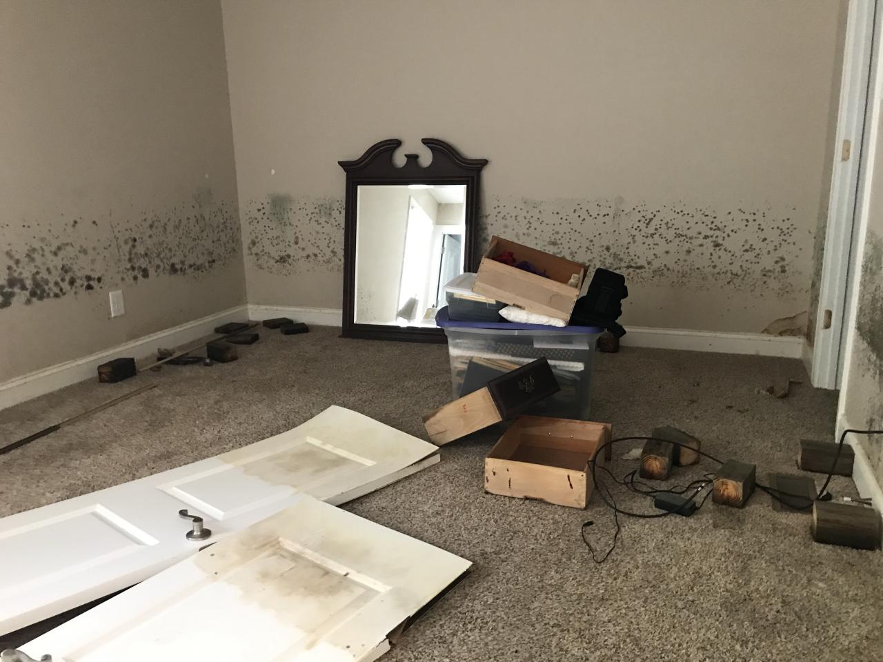 How to inspect your home for mold, room by room - The Washington Post