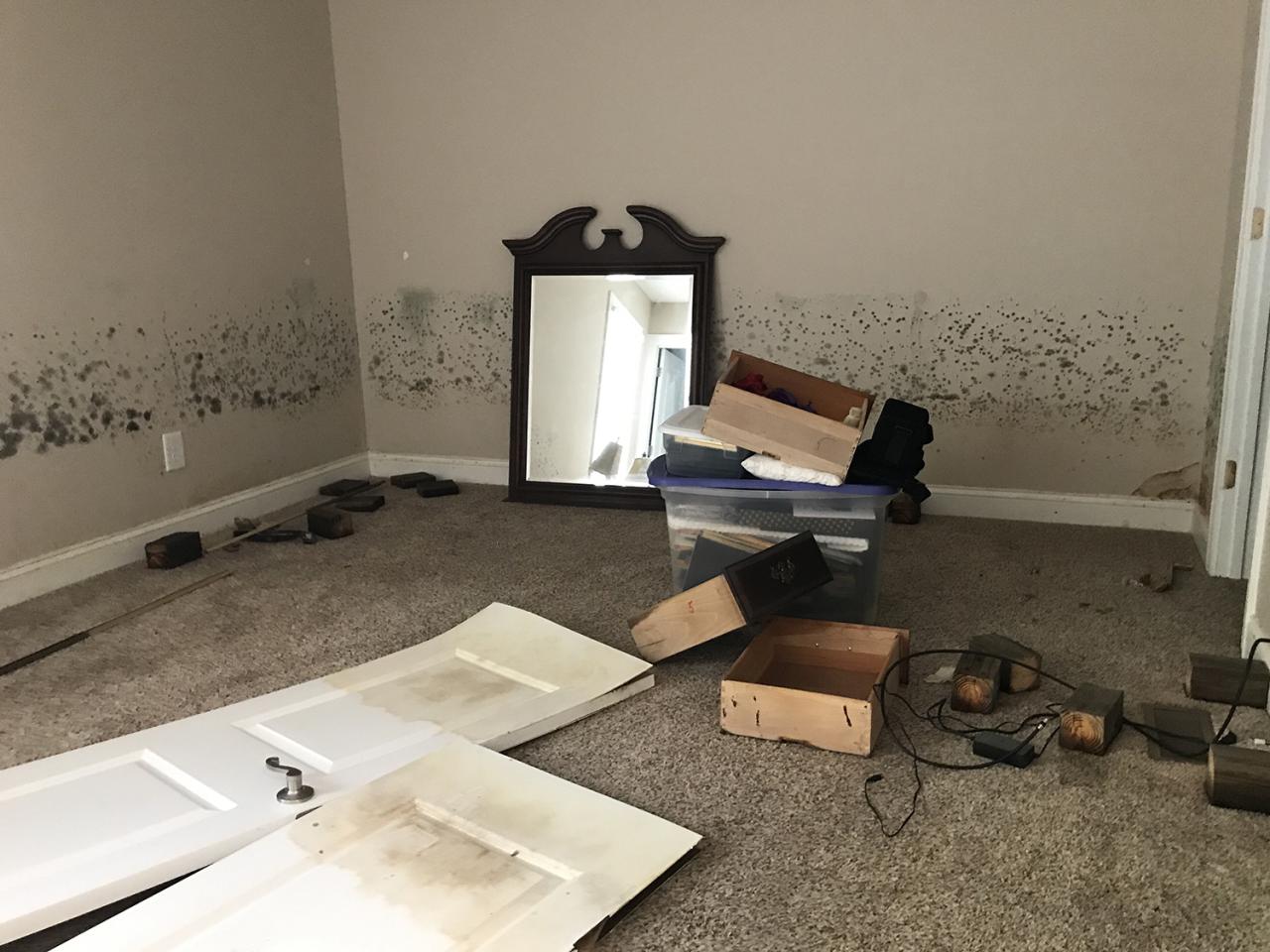 Mold in your home