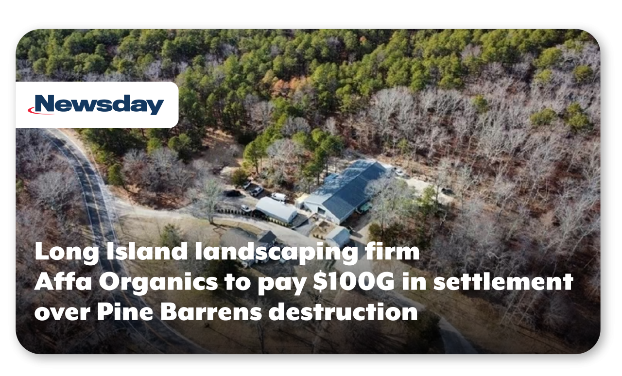 News clip from Newsday reads Suffolk business illegally developed land in pine barrens, New York AG says