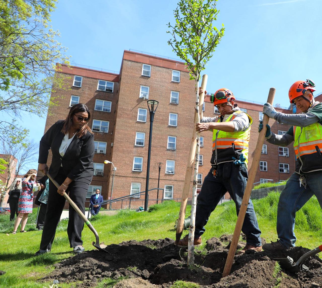 NYCHA Tree Planting (3)