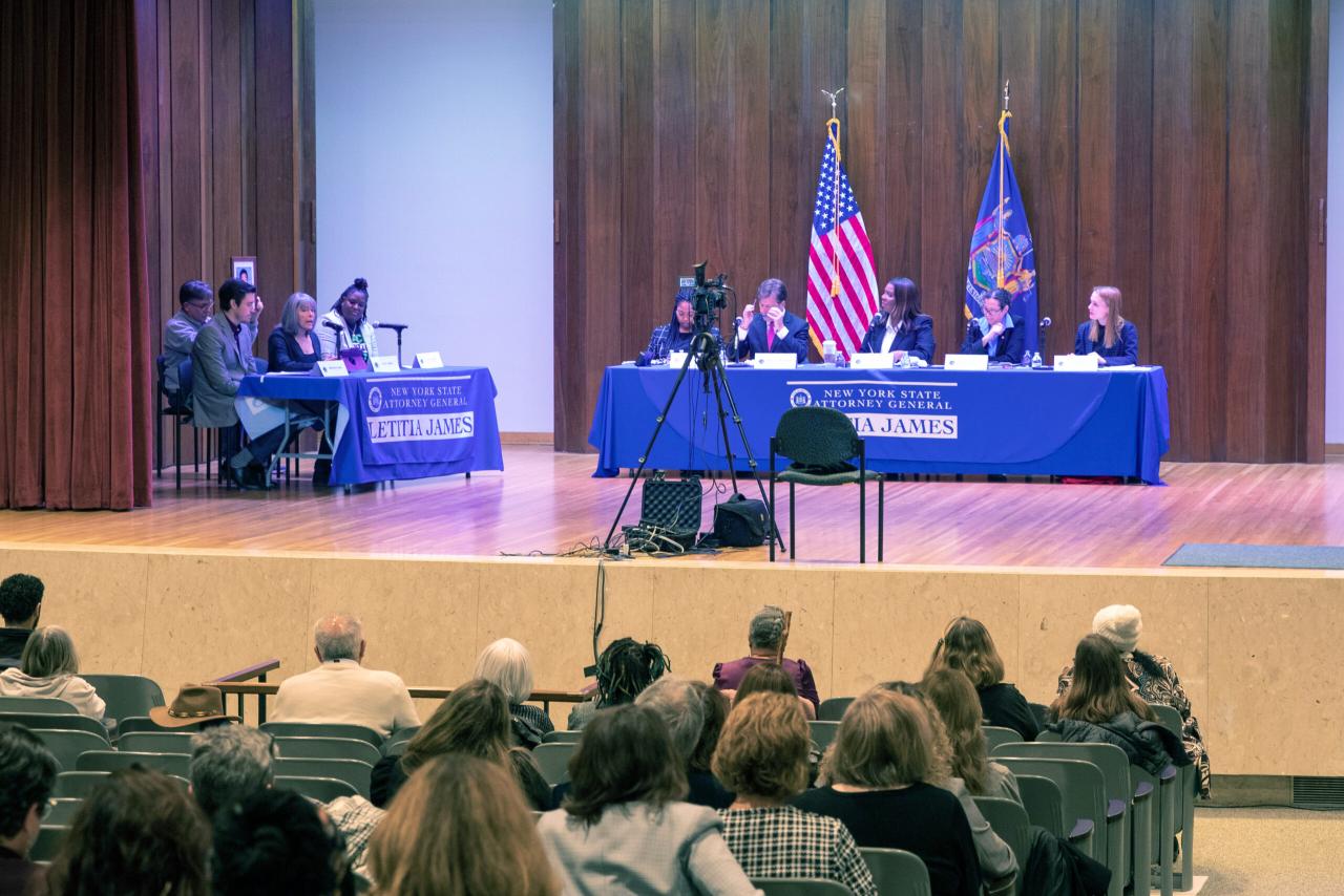 Mental Health Hearing