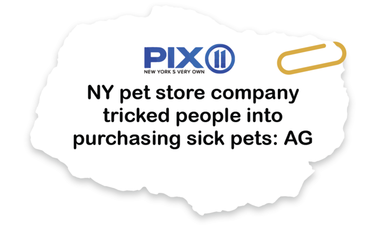 News clipping on pet store selling sick pets