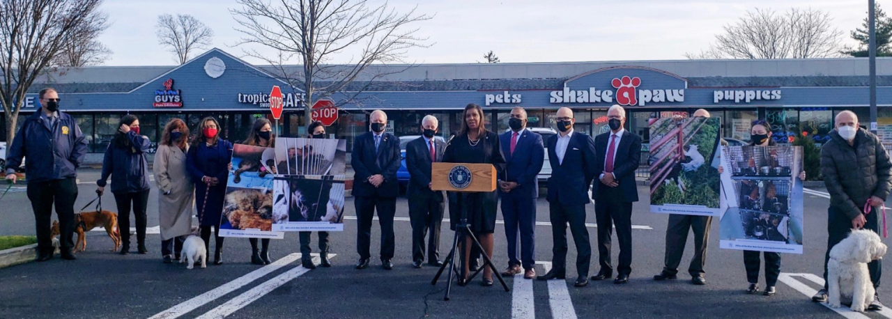 AG James at shake'n'paw