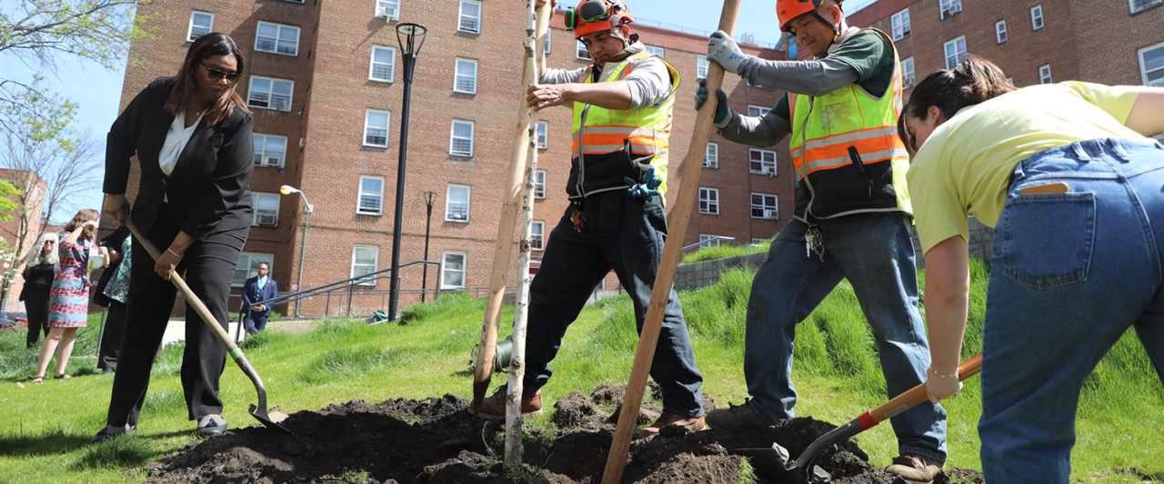 AG James shoveling dirt to plat a tree with three others