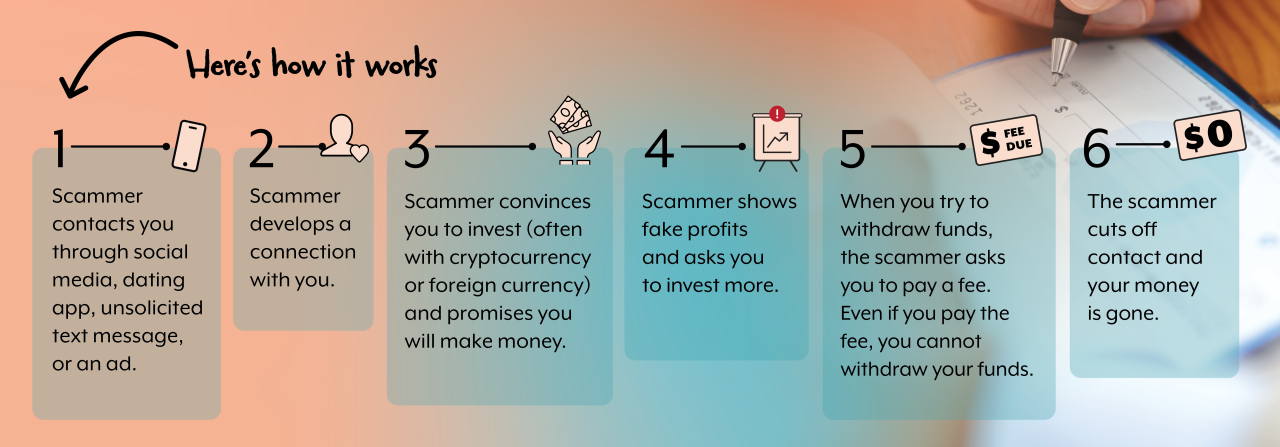 Pig butchering process 