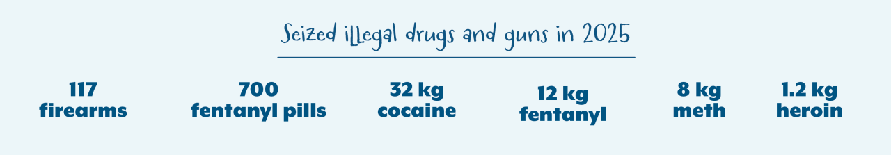 Seized illegal drugs and guns in 2025