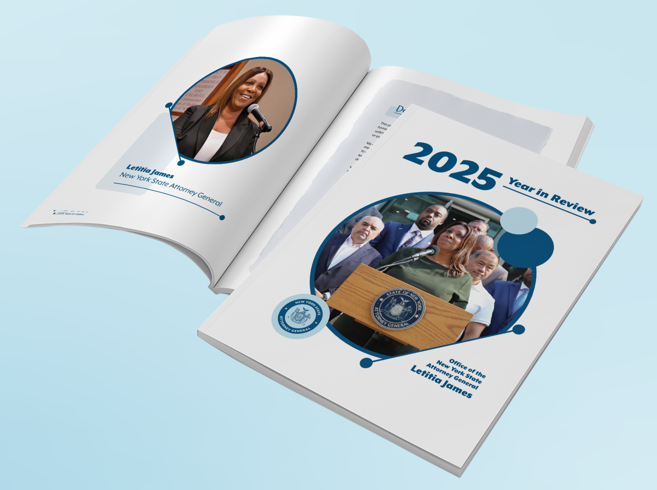 2025 annual report