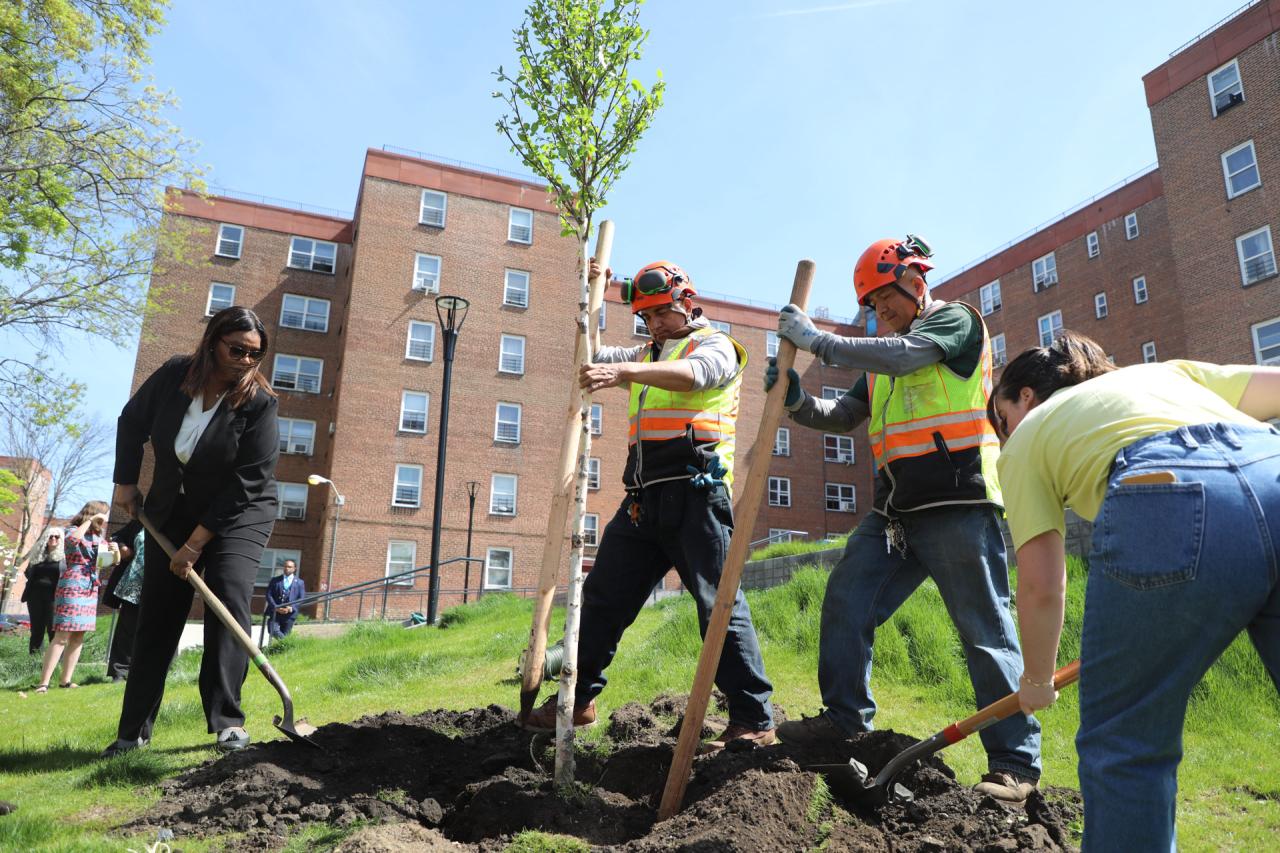 AG James planting a tree with three others